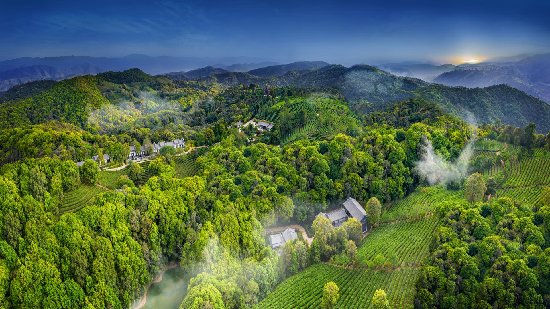 千城胜景｜云南峨山：春日好时光 探寻茶之味