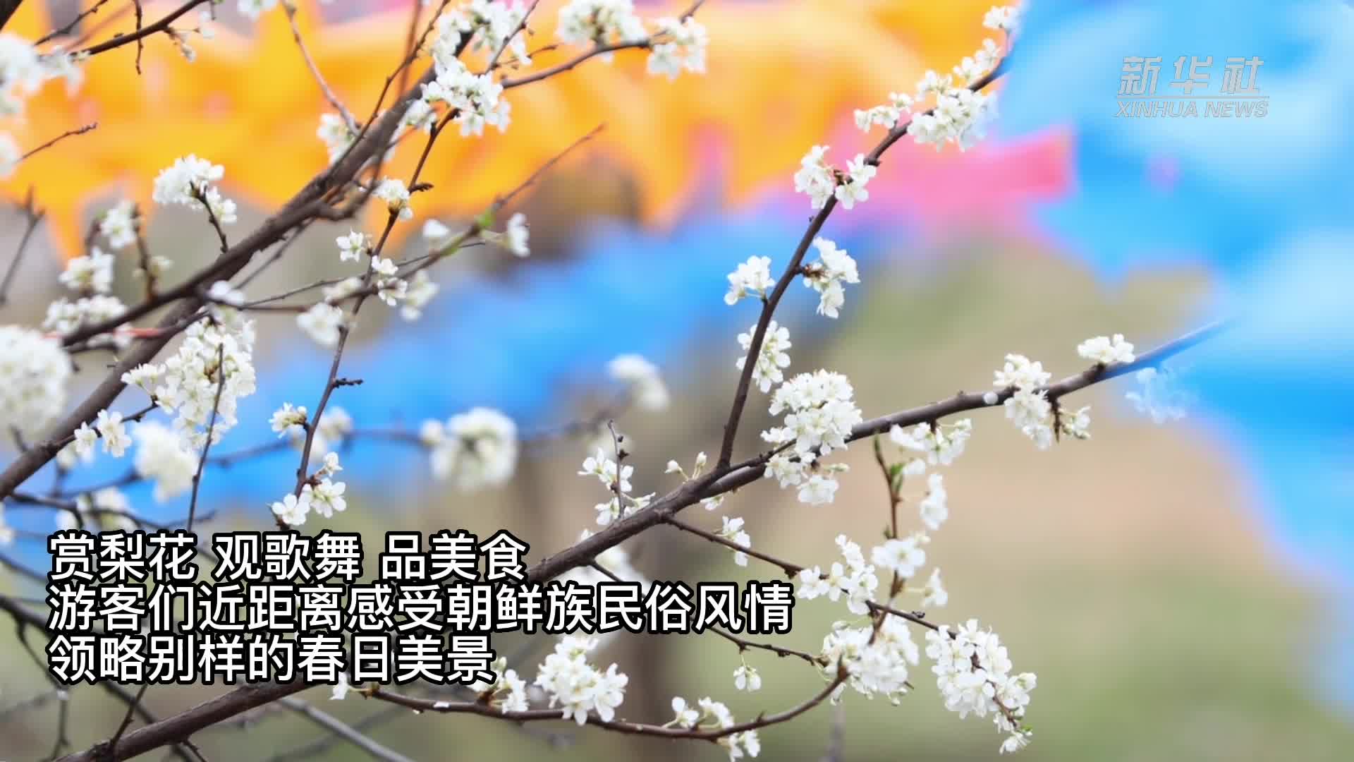 吉林集安：春风拂城花更浓