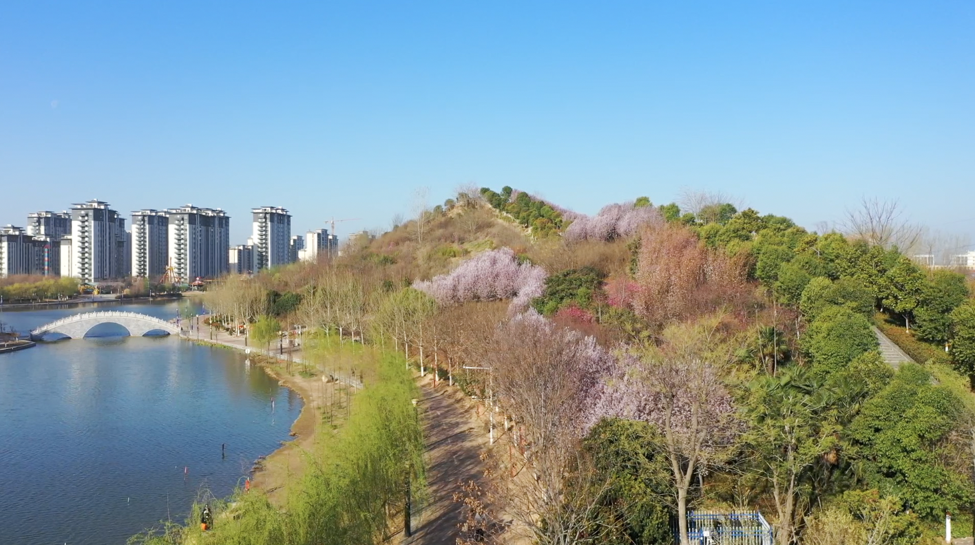 千城胜景｜河南鹿邑：鲜花盛开惹人醉