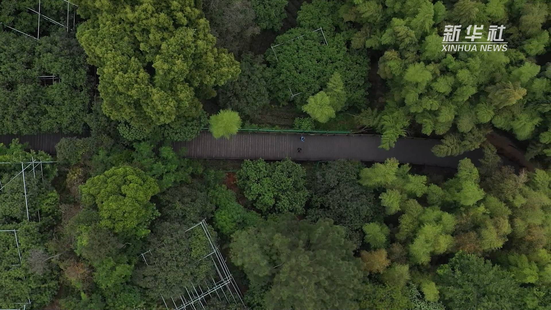 绿色江南：一村一繁华