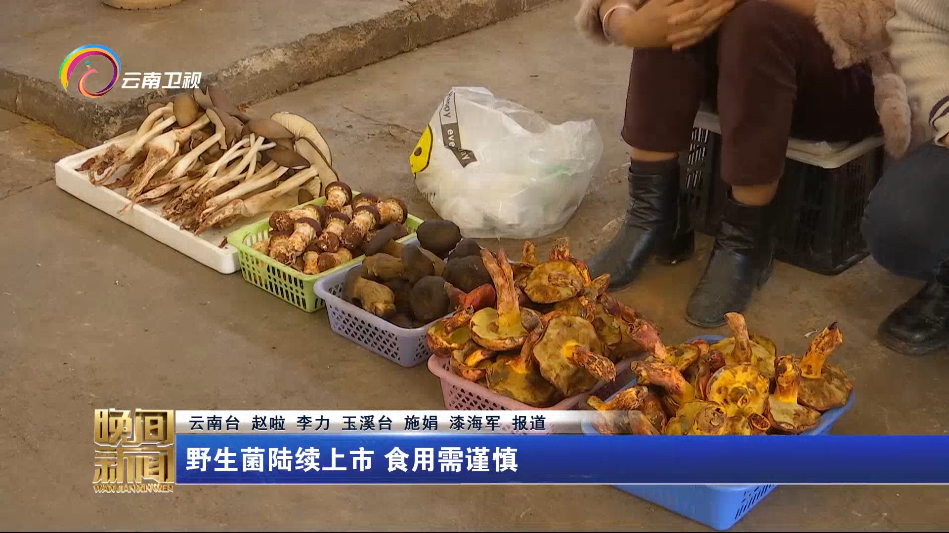 野生菌陆续上市 食用需谨慎