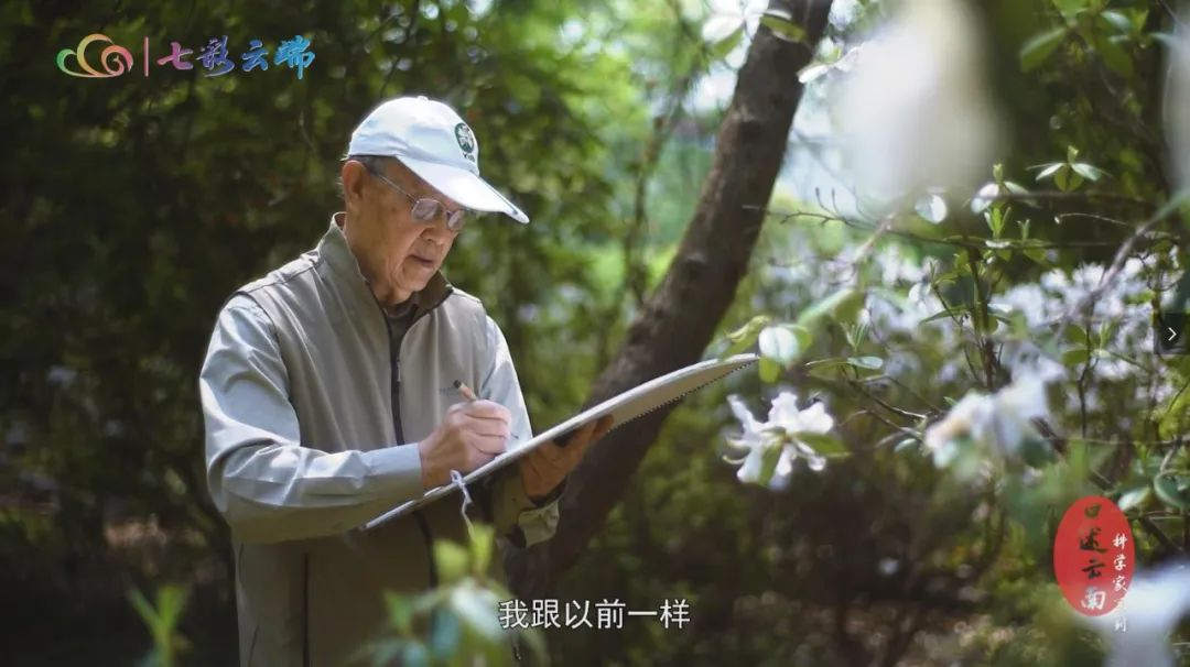 中国植物画第一人曾孝濂：用画笔讴歌自然，让世界看到中国植物之美