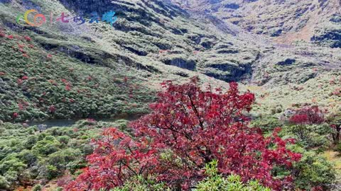 有一种叫云南生活丨叠翠流金无底湖 如梦如幻醉金秋