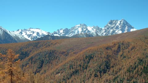 人间美景 | 白马雪山