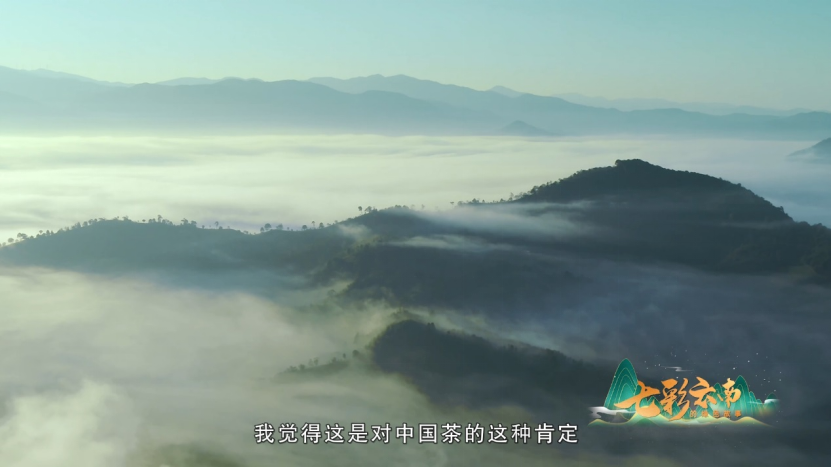 七彩云南的绿色故事 共同的家园 景迈山