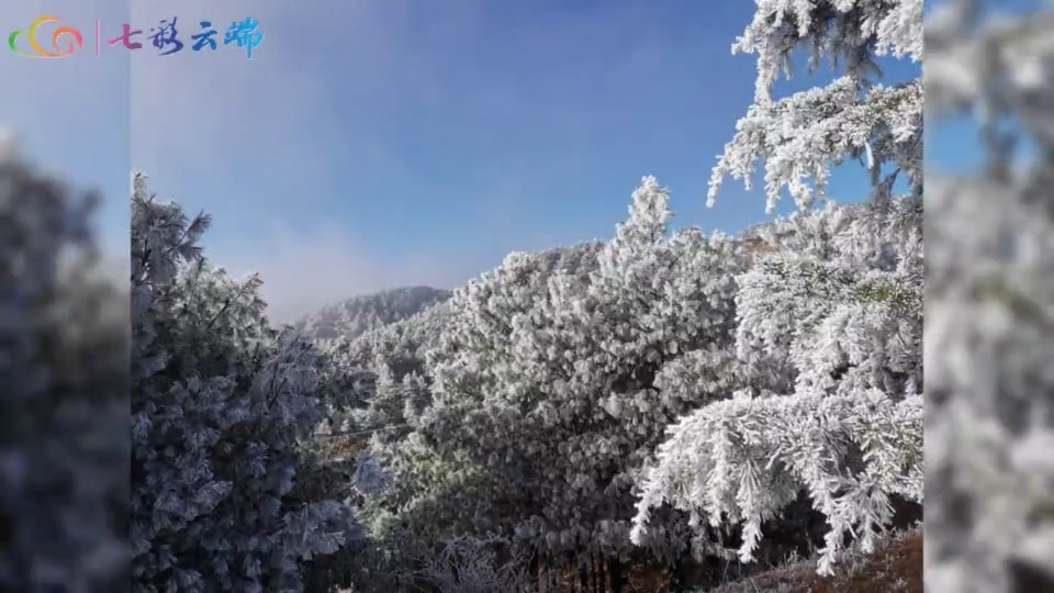 冬日大山包：穿越冰雪森林 去看神奇云海