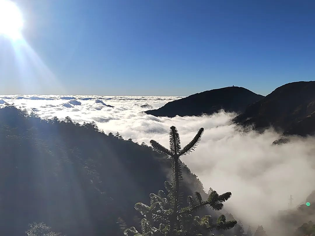 美翻了！走，去轿子雪山看云海！