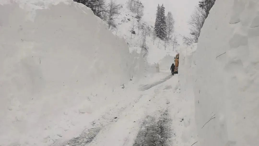 突发！31处雪崩，紧急提醒！