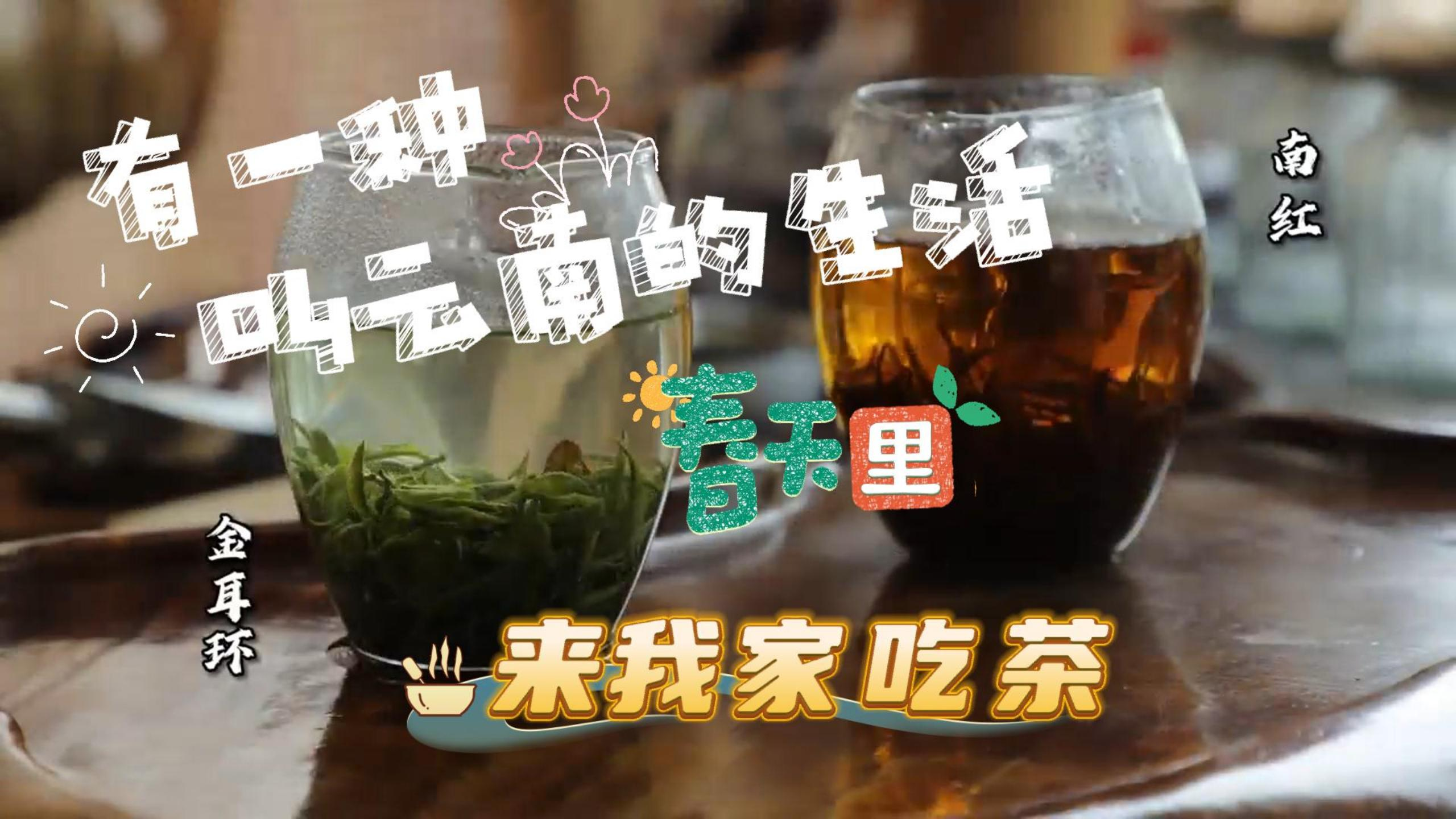 春天里 来我家吃茶/翠华贡茶