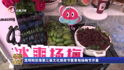 昆明阳宗海第三届文化旅游节暨草甸杨梅节开幕