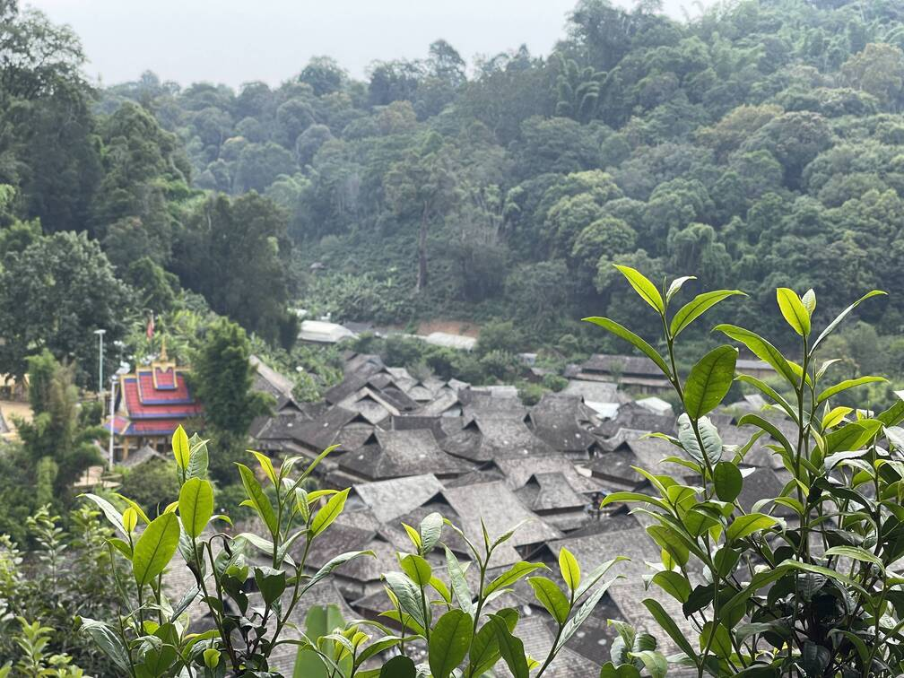 澜沧：守护好全球首个茶主题世界文化遗产