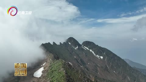 大理苍山发现5个新物种