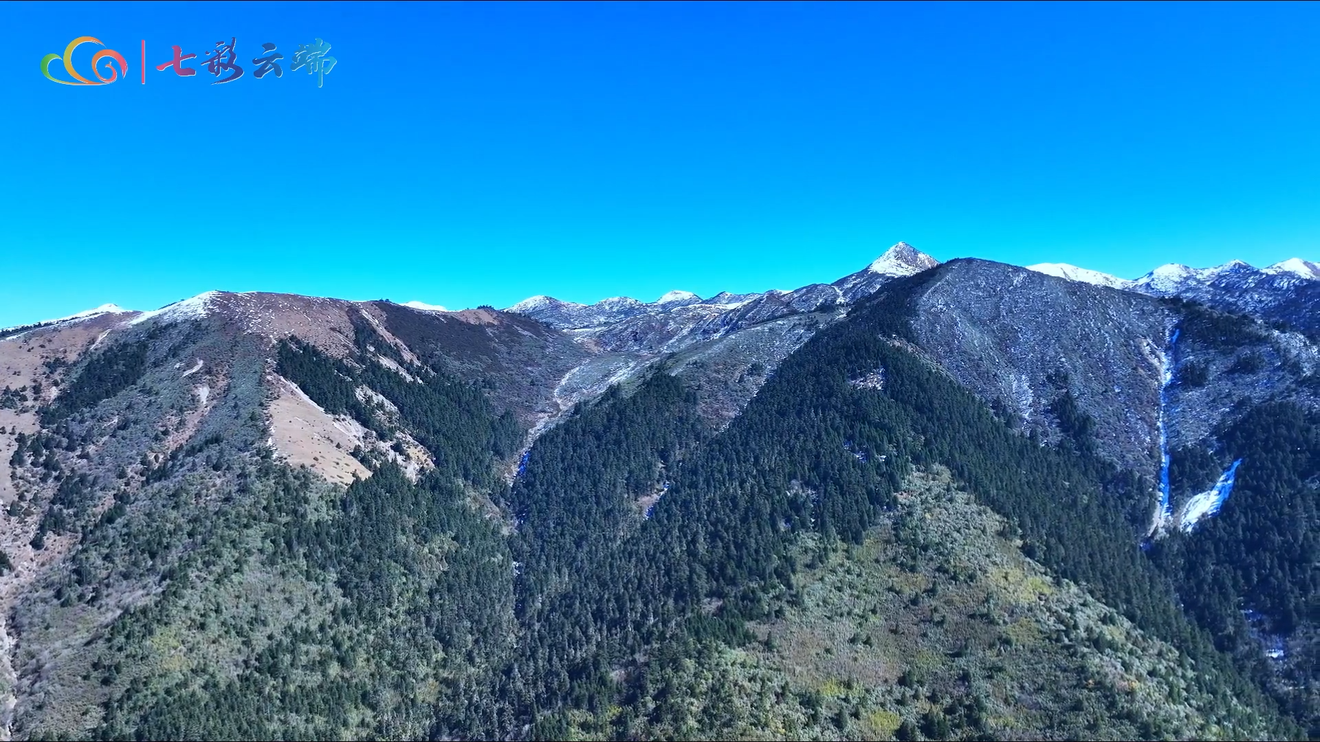 剑川老君山：一山分四季 十里不重天 