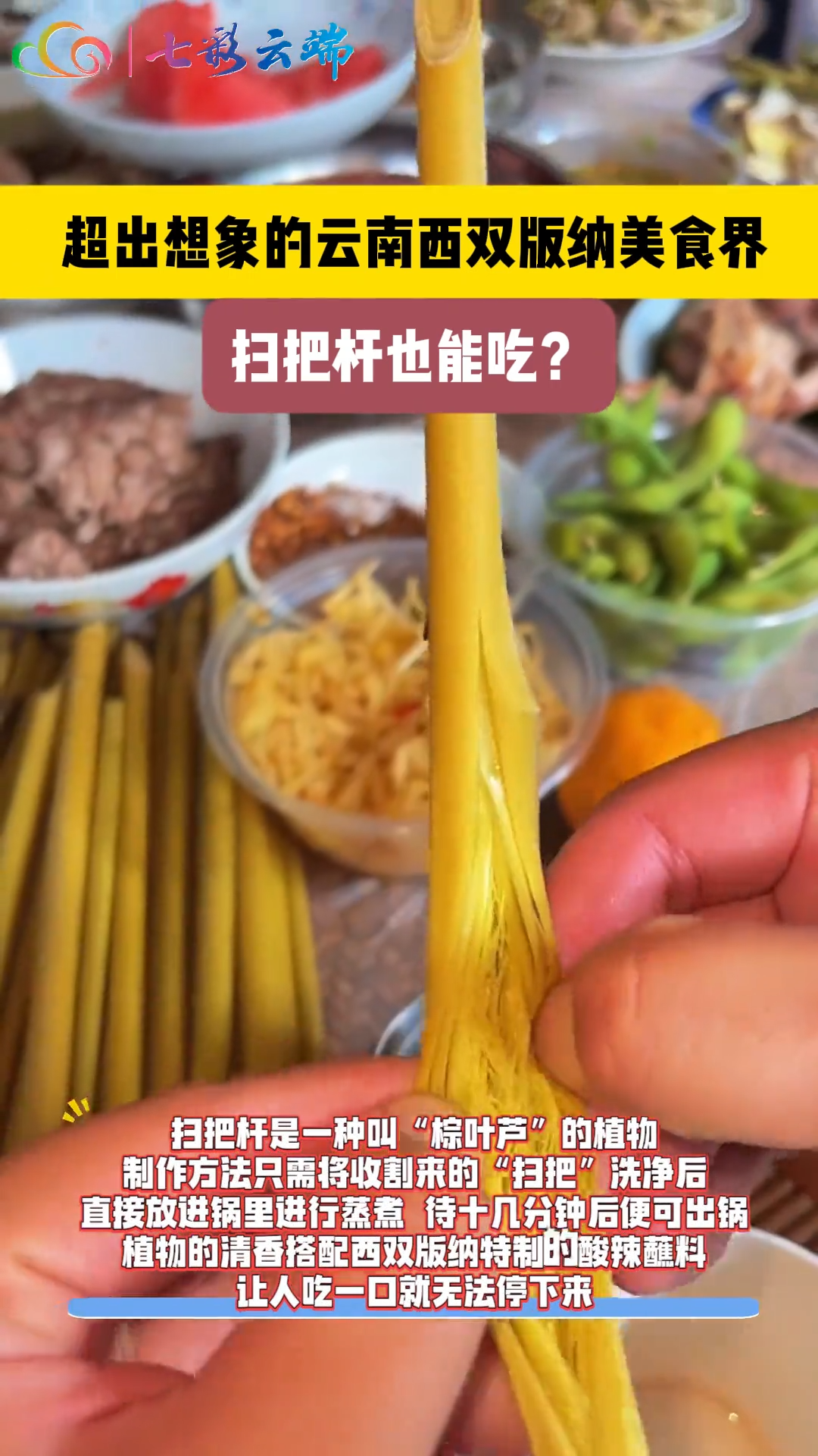 扫把杆也能吃？跟我去西双版纳看看