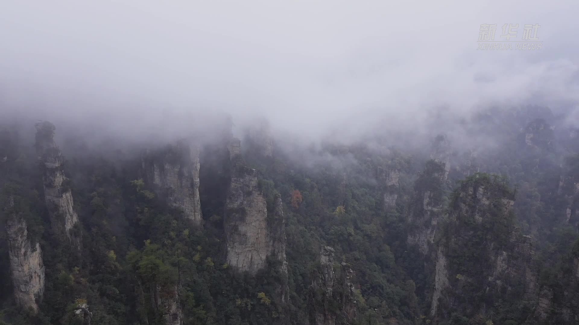 张家界武陵源：雨雾缭绕 美若仙境