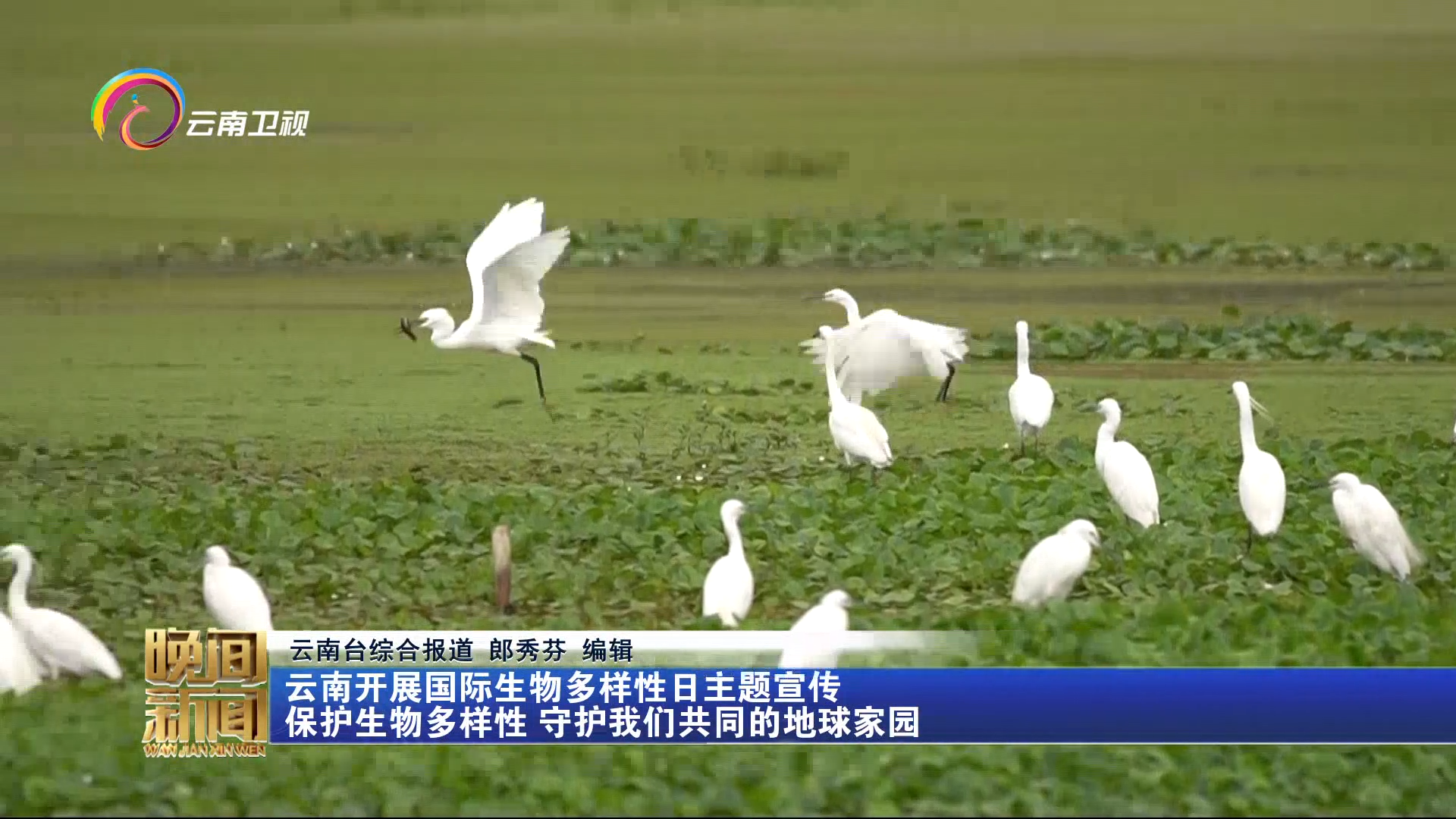 云南开展国际生物多样性日主题宣传 保护生物多样性 守护我们共同的地球家园