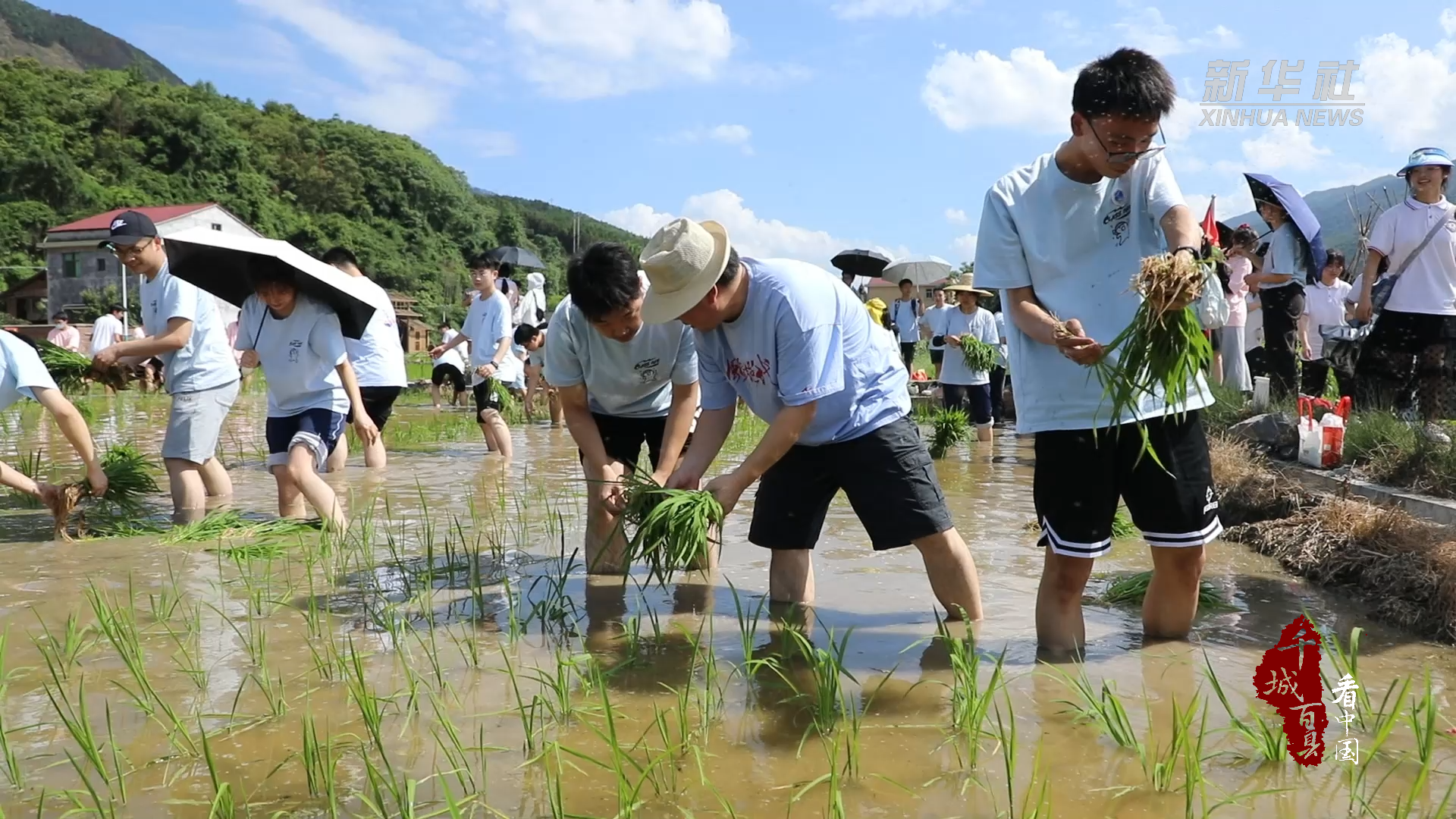 千城百县看中国｜湖南永州：下田插秧 水中捉鱼 高三学子花式解压