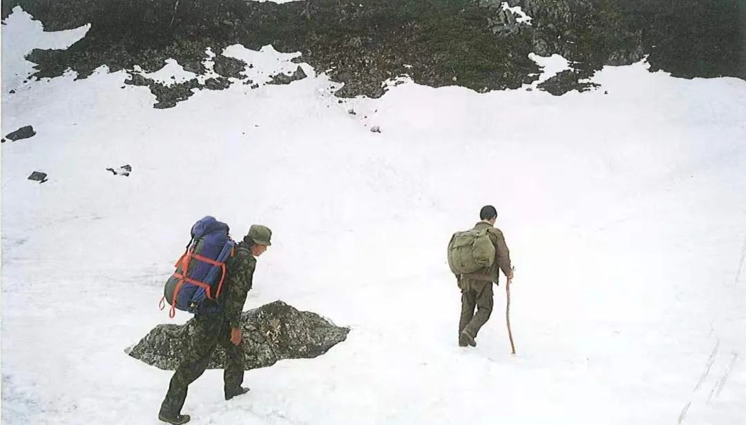 拍到第一张滇金丝猴野外照片，他让全世界看到了“雪山精灵”的可爱模样......