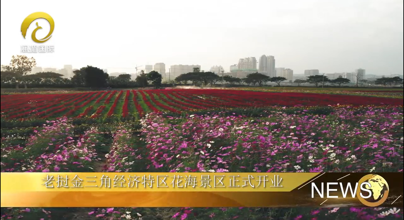 老挝金三角经济特区花海景区正式开业