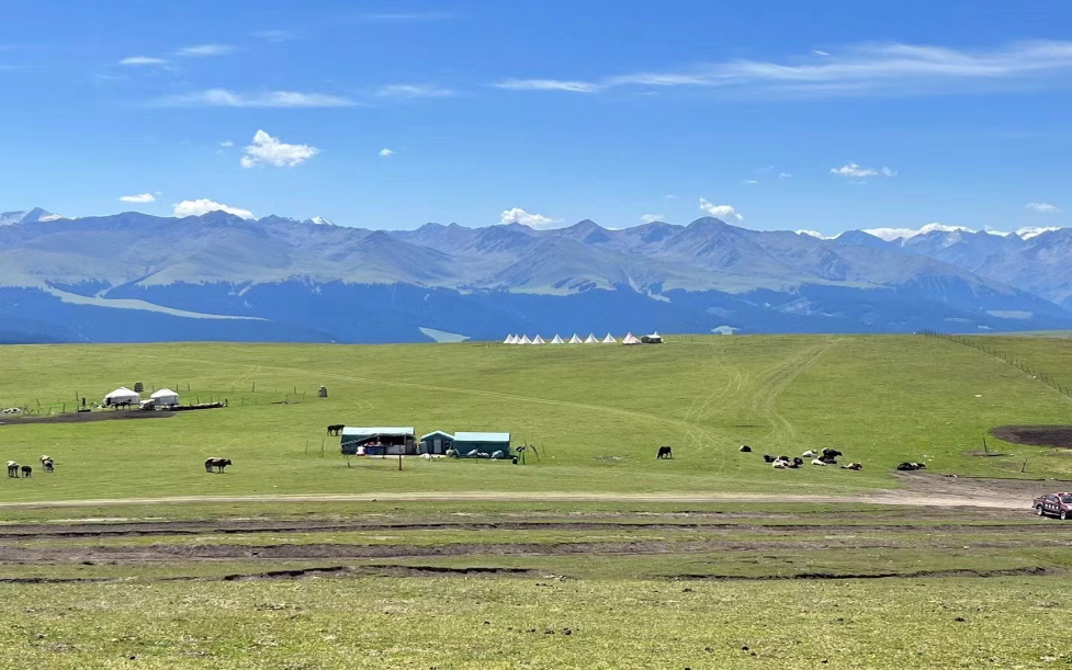 这个八月到草原去旅行吧