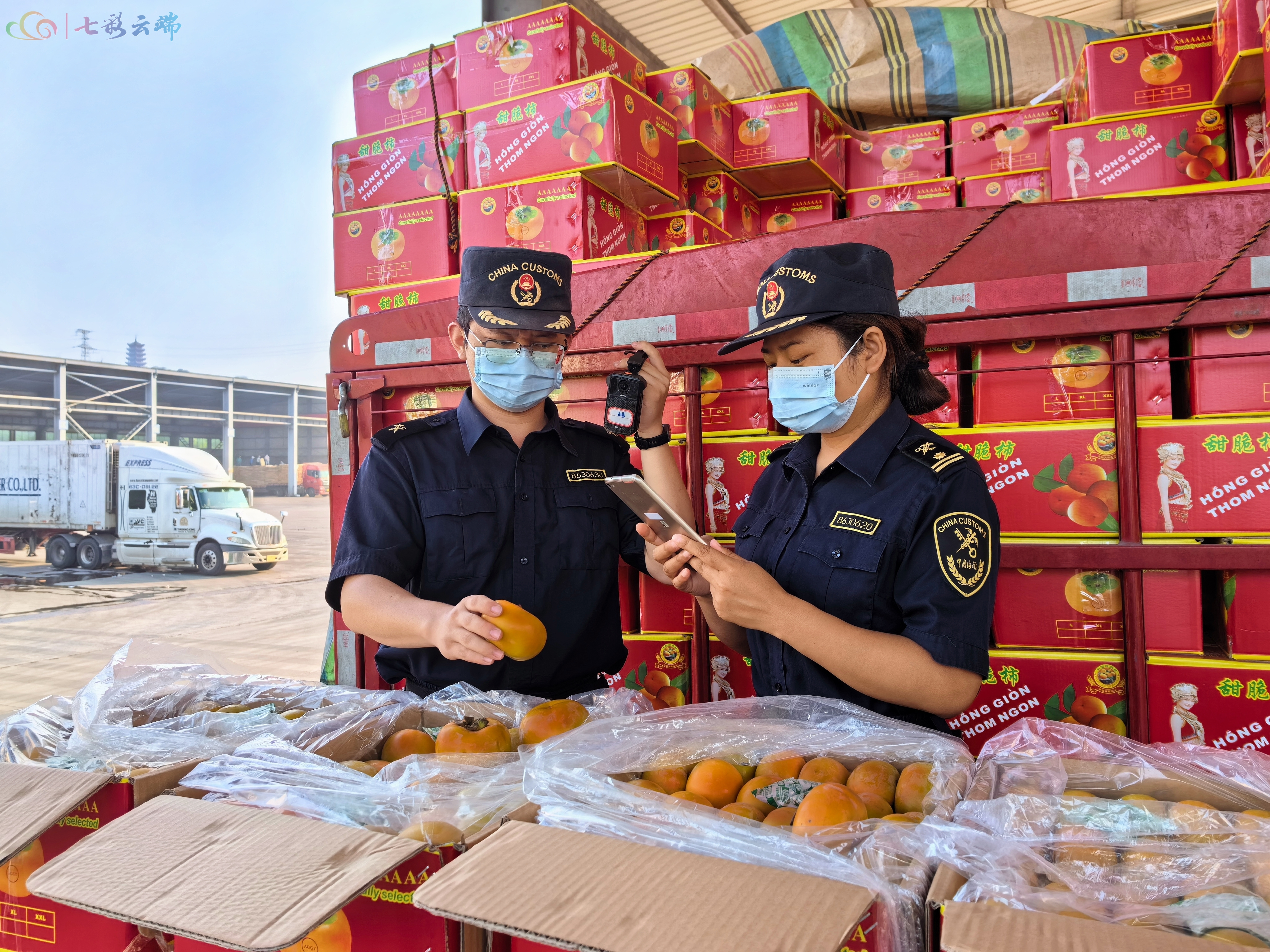 前三季度云南省对湄公河五国进出口规模超780亿元